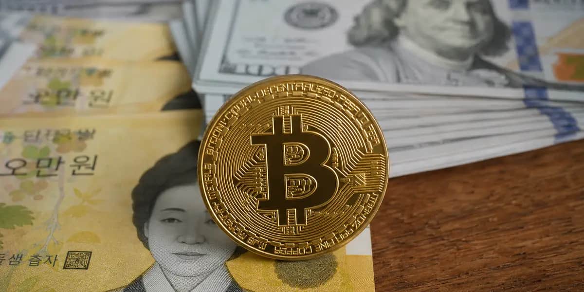 BTC 82K선 하회, ETF 5.28억 유입 vs 김치프리미엄 0.9% [암호화폐 시황]